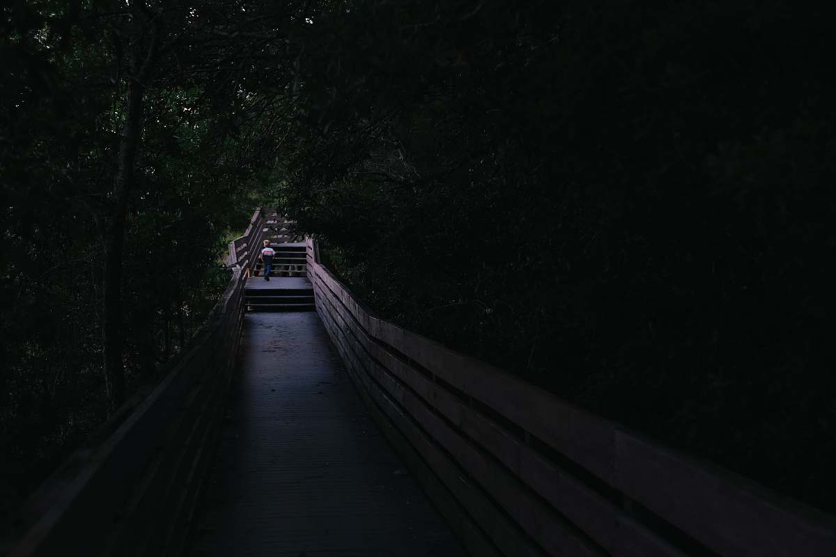 bay bluffs park man walking on bridge pensacola